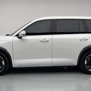 Trumpchi ES9 PHEV 2024 Model 143km Traveler Max