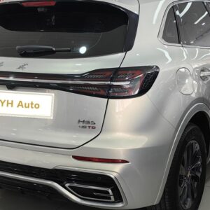 Hongqi HS5 2023 Model 2.0T Qixiang Pro Edition